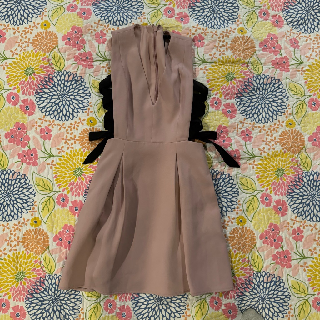 Size 0 Women’s Bcbgmaxaria Blush Pink Kalie Dress